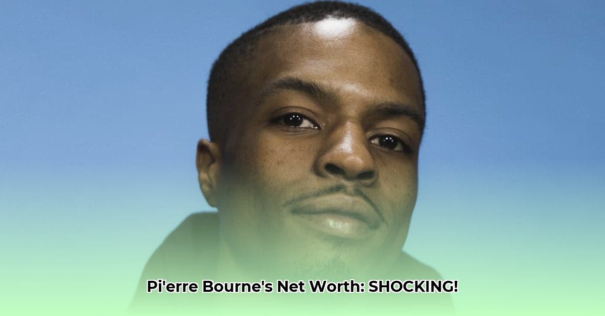 pi-erre-bourne-net-worth